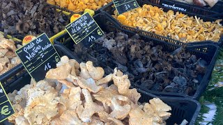 Foire au champignons st bonnet le froid  haute loire 43  🍄 211  2024 [upl. by Noerb904]