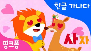 사  사랑에 빠진 사자  한글 가나다  핑크퐁 한글송  동물동요  핑크퐁 인기동요 [upl. by Yong]