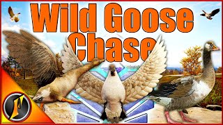 A Truly WILD Goose Chase  Diamonds Rares and More [upl. by Neyut]