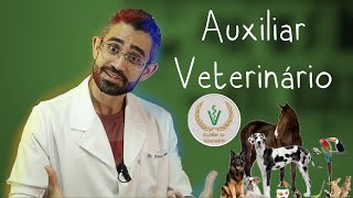 Tudo sobre o curso de AUXILIAR VETERINÁRIO [upl. by Eesdnyl912]