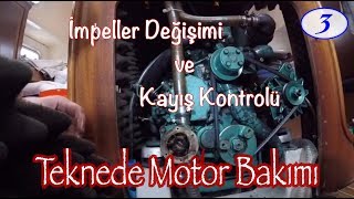 İmpeller Değişimi ve Kayış Kontrolü  Teknede Motor Bakımı  3 [upl. by Fadden]