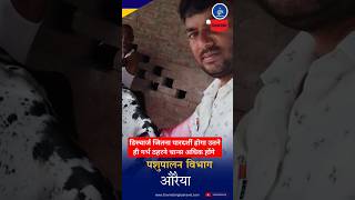 डिस्चार्ज जितना पारदर्शी होगा उतने ही गर्भ ठहरने के चांस अधिक होंगे Cow Heat Govind Singh Peravet [upl. by Enelym376]