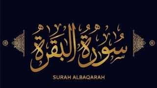 surah baqarah beautiful recitation quranrecitationreallybeautifulamazingsurahbaqarahbaqarah [upl. by Beberg]