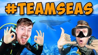 MrBeast Invited Me To TeamSeas [upl. by Aidaas720]