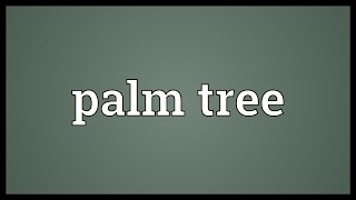 Palm tree Meaning [upl. by Ching]