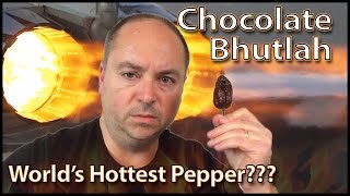 Dad eats Chocolate Bhutlah  Worlds Hottest Pepper Challenge Crude Brothers [upl. by Nirehs273]