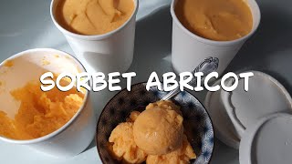 Sorbet abricot recette [upl. by Burch]