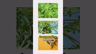 Papaya Leaves 10 Stunning Health Benefits [upl. by Weaks]