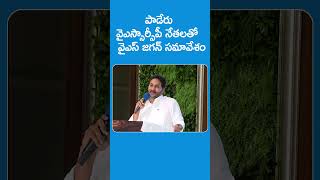 పాడేరు వైఎస్సార్సీపీ నేతలతో వైఎస్ జగన్ సమావేశం ysjagan apmlcelections sakshitvlive [upl. by Anirb]