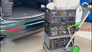 The Best Foldable Cart CleverMade Collapsible Utility Crate Review [upl. by Rednasela]