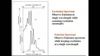 Excitation and emission Spectra in fluorescence [upl. by Hutson]