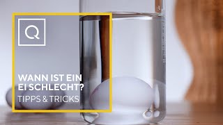 Wann ist ein Ei schlecht  Tipps amp Tricks  QVC [upl. by Anerbes206]