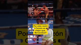 Benavidez vs GavrilBenavidez Knockdown boxeo boxeolv box davidbenavidez caneloalvarez [upl. by Ettezus90]