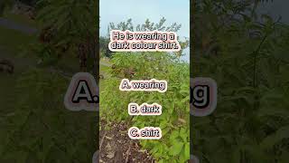 Find the adjective  Adjective  English grammar  Shorts  Learn with me adjective [upl. by Seni]