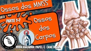 ANATOMIA DA MÃO  OSSOS DO CARPO❗APRENDA DESENHANDO❗Anatomia Prática [upl. by Sydalg]