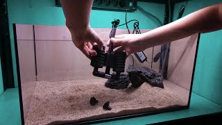 How To Set Up an Aquarium for Beginners How To Set Up Fish Tank [upl. by Shrier]