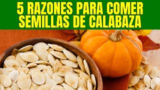 5 Beneficios de las Semillas de Calabaza  BENEFICIOS SALUDABLES [upl. by Harhay]