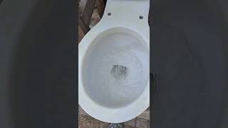 Dirty Toilet Cleaned with Muriatic Acid [upl. by Lagas]