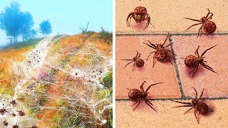 18 Lugares Onde A Terra Age De Forma Misteriosa [upl. by Dickie]