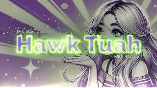 Hawk Tuah Spit on That Thing  MisLeDx [upl. by Annaert508]