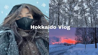 Random Hokkaido Vlog from winter 2023 [upl. by Patnode346]