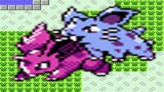 How to find Nidoran Male and Nidoran Female in Pokemon Crystal [upl. by Akenat985]