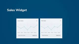 Sales Widget Overview for the Harbortouch Lighthouse Business Management System [upl. by Leahcimaj]