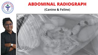 Abdomen  Radiology  Lecture 01 [upl. by Lalaj]