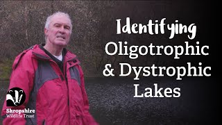 Oligotrophic and Dystrophic Lakes  Habitat Mapping Project  Nature Recovery Network [upl. by Ledah]