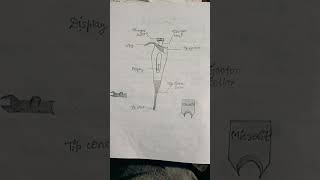 Micropipette observation practical and uses BSc Zoology zoology biotech biology lab practical [upl. by Atsirk]