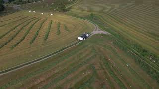 Tractors collect foliage crops for silage transports bales from farmland FREE STOCK VIDEO [upl. by Adelle483]