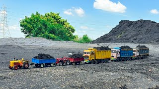 TATA Tipper and Ashok leyand gadi TATA TRUCK  HINDUSTAN trackter SWARAJ trackter LOADING COALS 🚜 [upl. by Kraul]