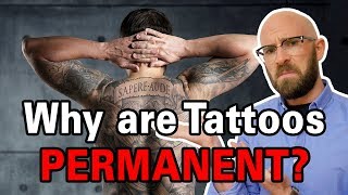 Why Dont Tattoos Fade as Skin Regenerates [upl. by Mell]