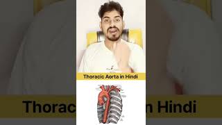 Thoracic Aorta In Hindi quiz anatomy [upl. by Ahsii]