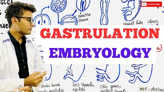 Embryology  Gastrulation [upl. by Ydrah]