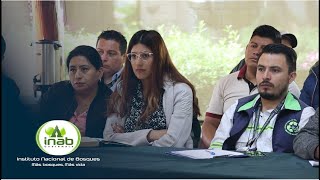 🌲👷‍♂️👷‍♀️ Capacitando técnicos del manejo forestal en Guatemala 🌿 [upl. by Aonian713]