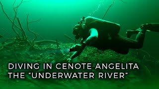 Diving in the Worlds Only quotUnderwater Riverquot Cenote Angelita in Tulum Mexico [upl. by Trout538]