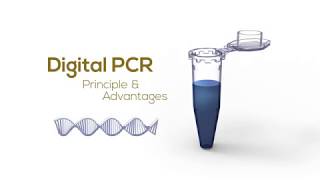 Digital PCR Principle amp Advantages [upl. by Daffie]