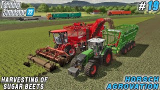 Completion of Harvest Contract Start of Own Beet Harvest  HORSCH Farm  FS 22  Timelapse 19 [upl. by Qifar248]