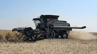 Gleaner S98 Manitoba Canola Harvest 2023 [upl. by Dorey682]