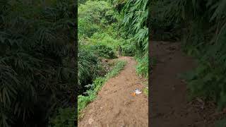 Chandranath Hill Track  Sitakunda  Chittagong [upl. by Cigam]