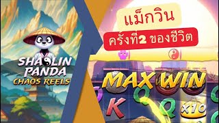 Shaolin Panda Chaos Reels│ Octoplay➤ Maxwin ครั้งที่ 2 มาแล้วโว้ย [upl. by Afaw73]