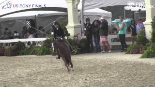 Canterbrook Prince Charming is Top Small Regular Pony at US PonyFinals [upl. by Nagn470]