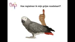 Cites grijze roodstaart uitleg [upl. by Drol]