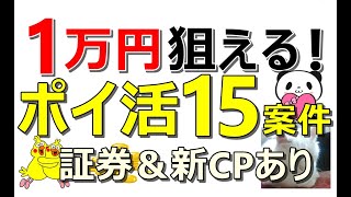 2月もポイ活爆益！楽天、PayPay、ドコモなど簡単にできるポイ活15案件一挙大公開！【ad】 [upl. by Lulita]