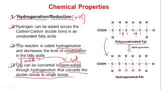 Properties of Fatty Acids  Physical and Chemical Properties [upl. by Mufi716]