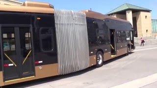 A Tour Of BYD Electric 60 Articulated Bus From California At Mississauga City Hall [upl. by Dott]