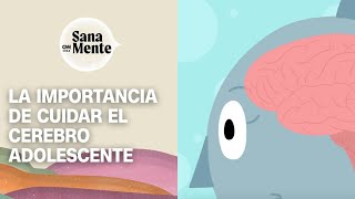 La importancia de cuidar el cerebro adolescente  Sana Mente [upl. by Remled]