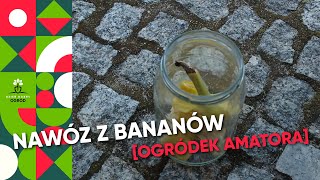 Nawóz z bananów  szybki przepis [upl. by Elrem910]