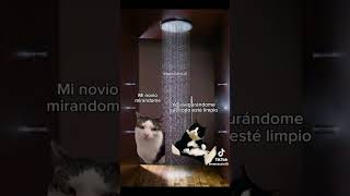 viralvideo humor novios milloneta shorts viralvideo tending fyp [upl. by Enoed]